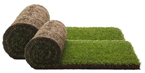 PetGround, Recambio Bandeja XXL Cama para Mascotas, Alfombra Olfativa (XXL)