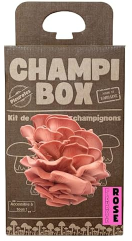 Kit de Culture de Champignons Pleurotes Roses (Pleurotus djamor) Champibox™ - Pleurotes Made in France - Gourmand et Éducatif - Idée Cadeau Originale et Naturelle pour Tous - Facile à Utiliser