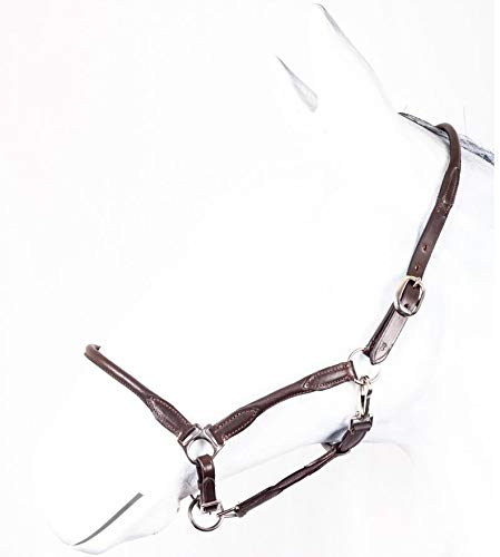 RL24 HKM by Reiterladen24 - Halfter Leder rundgenäht BASICLINE braun Vollblut