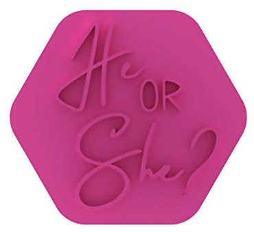 LissieLou He or She? Cookie Stamp Baby Shower or Gender Reveal Party Icing Fondant Embosser - Light Pink