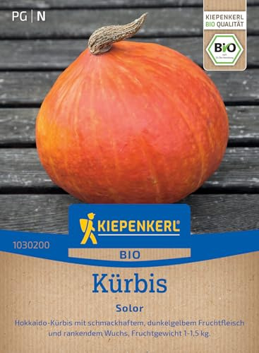 Kiepenkerl Kürbissamen Solor 1030200, Gemüsesaat | Dunkelgelbes Fruchtfleisch, Früchte 1-1,5 kg, aromatisch, für Freiland & Topf