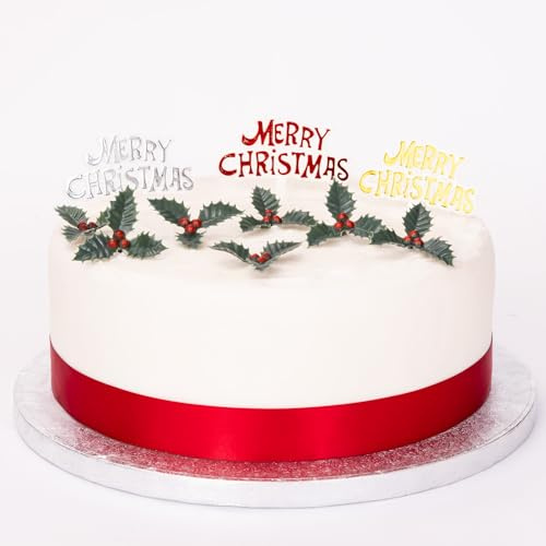 Merry Christmas Cake Decorations 3 signs 6 Holly Yule Log Cupcake Craft Toppers