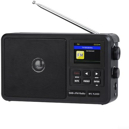 Radio réseau portable, FMDAB+, écran LCD et réveil, radios numériques secteur et batterie, 22 x 13 x 7 cm, noir