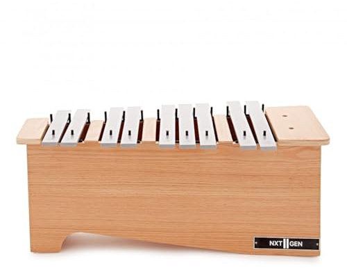 Premier NXT GEN Alto Metallophone, Chromatic | Individually Labelled Bars for Easy Play, Great for Schools, Includes Beaters, C#4-G#5 Range, Chromatic Alto Metallophone