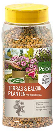 Pokon Balkonpflanzen Dünger mit Langzeitwirkung, 800g