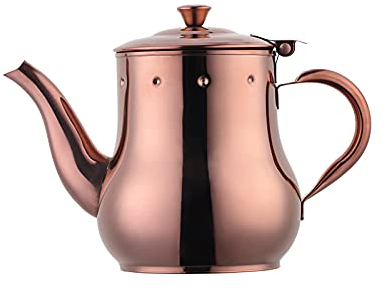 Edelstahl Teekanne Kupfer mit Teeaufgussfilter Servierkanne Wasser Kaffeemaschine Ölkanne 500ml Buyer Star，Spiegelpoln