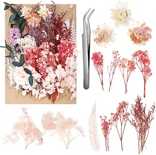 aurorayer Fleurs Séchées Rose, Fleurs Sechees Naturelles Vraies Fleurs Pressées Séchées Decoration pour Scrapbooking Bougie Bricolage Résine Époxy Floral Fabrication Artisanale