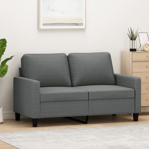 ZEYUAN 2-Sitzer-Sofa Dunkelgrau 120 cm Stoff, Sofas & Couches, Sofa Wohnzimmer, Sofa Für Jugendzimmer, Relaxsofa, Sofa Für Schlafzimmer, Polstersofa - 359156