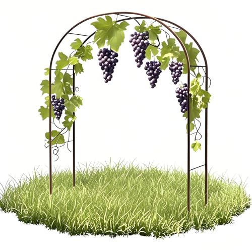 Rosenbogen Metall, Gartenbogen，Rankbogen für Kletterpflanzen, Stabil Metall Torbogen Rankhilfe 80cmx200cm/160cmx220cm/20cmx230cm/240cmx220cm/300cmx220cm Weiß/Schwarz/Grün Hochzeitsbogen Pergola(Bronze