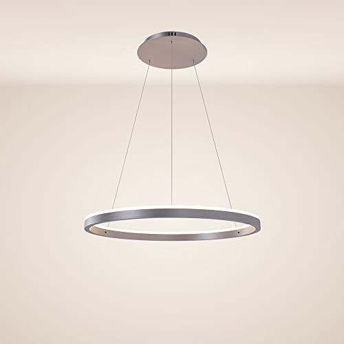 s.luce LED Ring Pendelleuchte rund Direkt oder Indirekt Hängelampe Wohnzimmerleuchte, Farbe:Aluminium, Größe:Ø 60cm