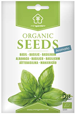 Zertifizierte Bio-Basilikum-Samen von Minigarden – große Blätter, 100% natürlich, GVO-frei, bereit zur Aussaat, reproduzierbar – 1750–2225 Samen