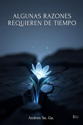 ALGUNAS RAZONES REQUIEREN DE TIEMPO (PROSA POETICA) POESÍA: Un Libro de Poesía en Español. Con poemas de reflexión, poesía de amor y también del ... y Ausencia: La Poesía que Abraza tu Corazón)