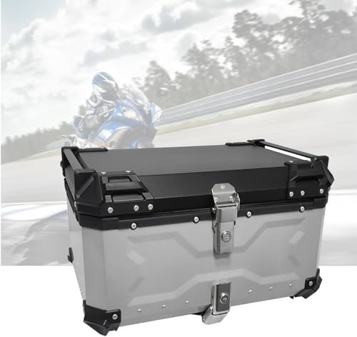 PQPQLI Motorradkoffer 45-100L Wasserdicht Abschließbar Mit Schnellverschluss, Rückenlehne Und Diebstahlsicherung, Universal Befestigungssatz Für Integralhelm(Silver with backrest,100L)