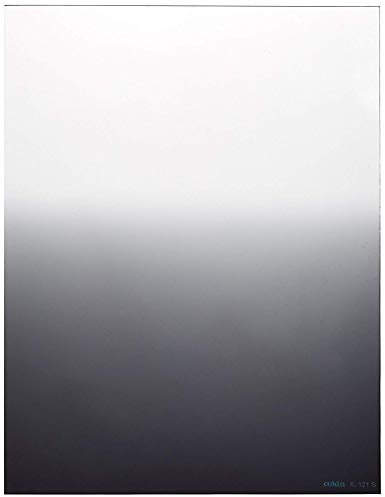 Cokin P121L G2 SFT (ND8) Filtre carré Dégradé gris (Import Royaume Uni)