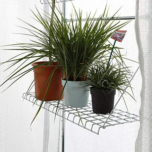 BioGreen Gewächshaus-Regal für Foliengewächshaus Patioflora 80 | 12 kg Tragkraft | Robustes Material | einfache Anbringung | 80 x 28 cm
