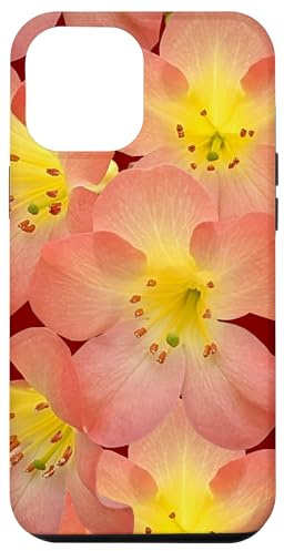 iPhone 14 Pro Max Red, Yellow, Orange Rhododendron Section Vireya Shapes Mania Case