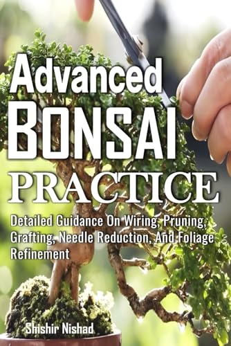 Advanced Bonsai Practice: Mastering Bonsai Techniques, Species-Specific Styling, Mindful Bonsai Care Indoors, and Japanese Garden Traditions for Lifelong Indoor Plant Tree Artistry
