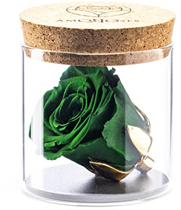 Amoroses Bijou - Rose éternelle stabilisée avec Calice plaqué Or 24K dans Un conteneur en Verre | Idée Cadeau
