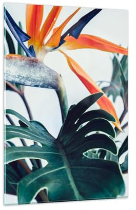 Deco Salon Impianti Boho Esotico Moderne Impression sur Verre 80x120cm Image Tableau en Verre Decoration Murale Chambre Cuisine Vertical Art Wall Decor Grand Tableaux Decoratifs Muraux GPA80x120-5286