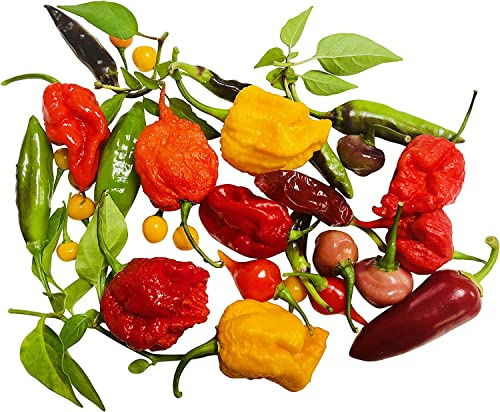 Chili Samen MixMoruga-Scorpion, 7 Pot & Bhut Jolokia 60 Samen ***6 verschieden Superhot's a. 10 Samen***