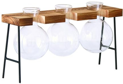 Terrari per piante con supporto in legno desktop fioriera in vetro vaso bulbo per coltura idroponica decorazioni per la casa vaso idroponica
