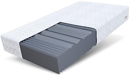 Colchón de Espuma FDM Comfort Plus 140 x 200 cm, Altura 24 cm, 7 Zonas H3 Öko-Tex colchón de Espuma fría, Apto para alérgicos, Funda de Almohada, Lavable, extraíble, Blanco