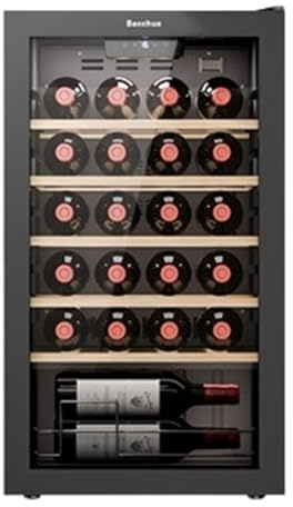 Kindevieft Cave à vin Autonome avec écran Tactile et Affichage numérique de la température, réfrigérateur indépendant pour Cave à vin 24Bottle