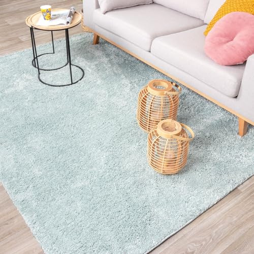 FRAAI | Home & Living Teppich Hochflor - Lofty Hellblau Türkis - Einfarbig - Modern, Skandinavisch - Wohnzimmer, Esszimmer, Schlafzimmer - Fellteppich - Carpet