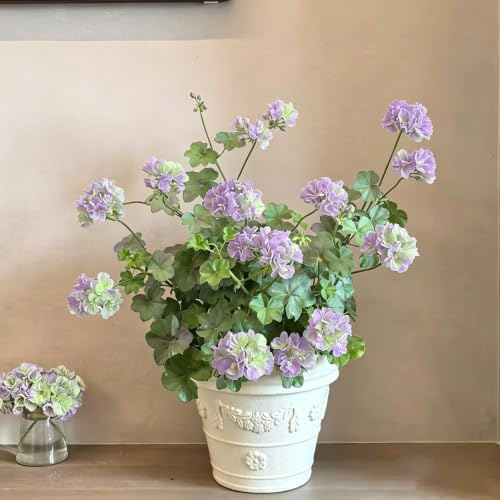 geranio - pelargonio silvestres de sombra jardín balcón oficina 45semillas