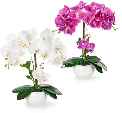 PASCH Set di 2 orchidee artificiali in vasi di ceramica lucida (40 cm), fiori artificiali in vaso, fiori artificiali come veri, orchidee artificiali in vaso, fiori artificiali (bianco-rosa)