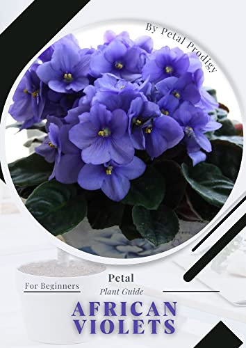 African Violets: Prodigy Petal, Plant Guide