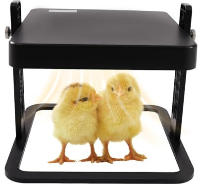 Kükenaufzucht Plaque chauffante 13 W Plaque chauffante 25,4 x 25,4 cm Design réglable Chauffe-poussins pour 10-15 poussins