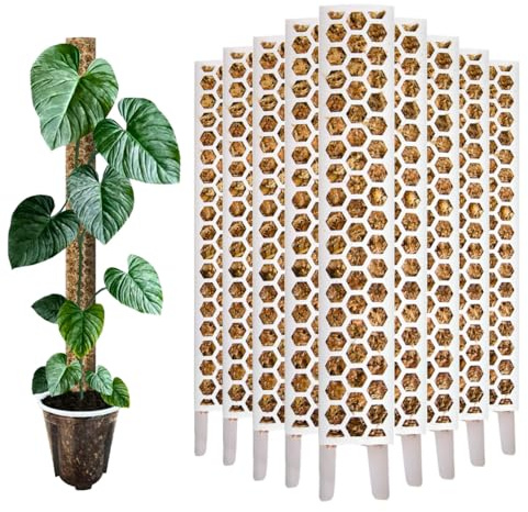 Nils der Pflanzenfreund® PlantScraper Bâton de mousse 35 cm (M) / 10 pièces/blanc | Tige de plante | Tuteur de mousse extensible | Bâtons de mousse | Plante Pole Indoor | Bâton de mousse pour Monstera