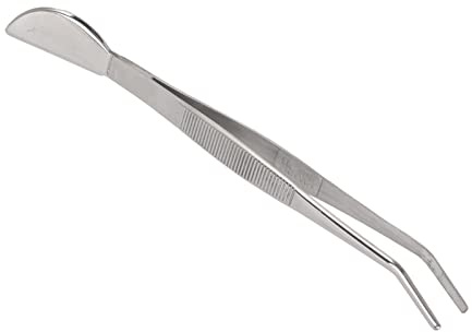 Denash Bonsaïs en Acier Inoxydable et Longues Pinces pour la Lollo, pour les Jardiniers et les Amateurs de bonsaï, 1 X en Acier Inoxydable (Courbé)