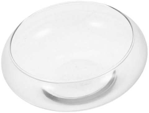 LIFKICH Bol Verre Transparent Multi-Usage pour Plantes et Poissons Récipient Hydroponique et Vase Décoratif pour Bureau et Maison