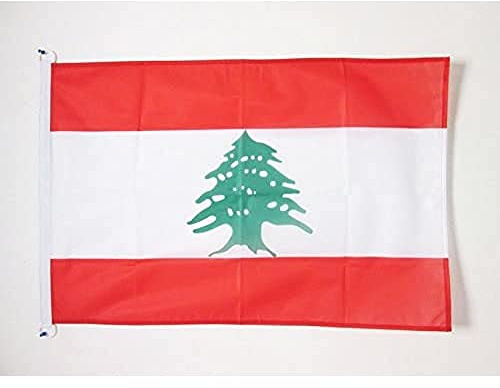 AZ FLAG Pavillon Liban 90x60 cm Libanais Maille Bloquée Anneaux Plastique