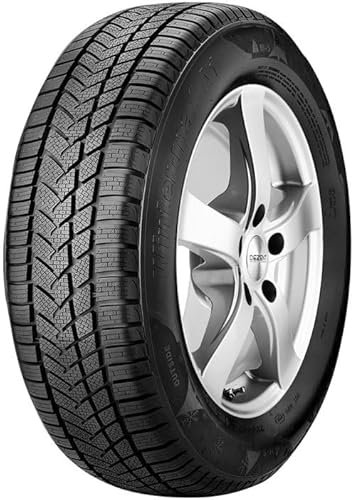 Sunny 255/55 R18 109V Winterreifen M+S 3PMSF Reifen