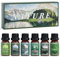 SALUBRITO Natur Ätherische Öle Set, Naturrein Duftöl für Diffuser, Kerzenherstellung – Regen, Meeresbrise, Kiefer, Bergluft, Bambus, Geschenkset für Frauen