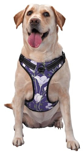 Rhododendron Illustration Large Printed pet Traction Vest for Pets to wear When Walking The Dog or Climbing Mountains