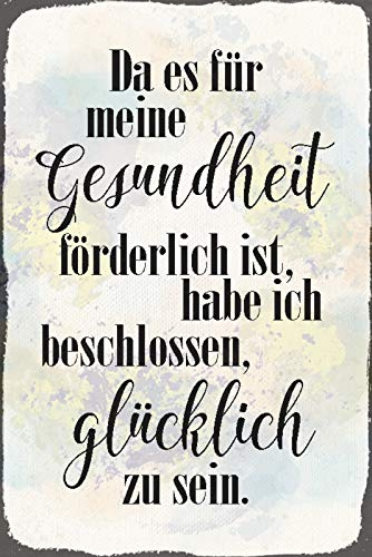 Schatzmix Blechschild Spruch Für Meine Gesundheit Glück Metallschild Wanddeko 20x30 tin Sign