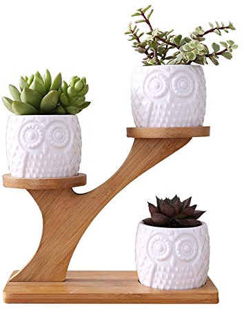 Sukkulenten-Pflanzgefäß, Keramik, Garten, Blumentöpfe, 3 Stück, Sukkulententöpfe und Bambus-Blumentopfständer, rund, Eule, Sukkulententöpfe, Baumwipfelform, Bambus-Regaltopf-Pflanzset für das Heimb