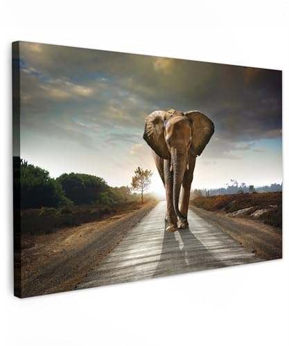MuchoWow© Wandbilder Groß XXL Schlafzimmer Home Deko Wohnung Bild Tier | 120x80 cm - Wohnzimmer Fotoleinwand Wand Bilder Tierbilder auf Leinwand Wall Decor Wanddeko Waldtiere - Elefant