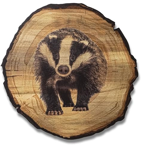 DARO Design - Immagine murale Tasso Dimensione 45 cm - Stampa artistica pronta per essere appesa - Decorazione murale a tema Caccia, Natura, Animali