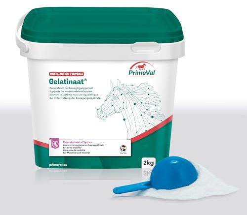 PrimeVal Gelatinaat für Pferde - fördert die Muskelkondition und den Erhalt kräftiger Knochen - 2 kg