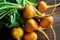 Graines betterave ronde jaune burpee's golden - Beta vulgaris - Sachet de 2 grammes - Graines de style