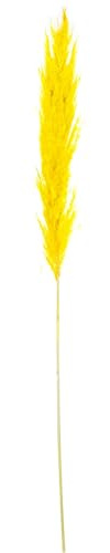 Set de 12 Ramas de Hierba de Pampa preservada Natural en Amarillo 1x1x60 cm