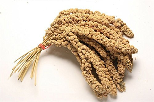 Pet Ting 100g Millet Spray for Birds and Small Animals - budgies, Canaries, Cocktaiel, Parrots