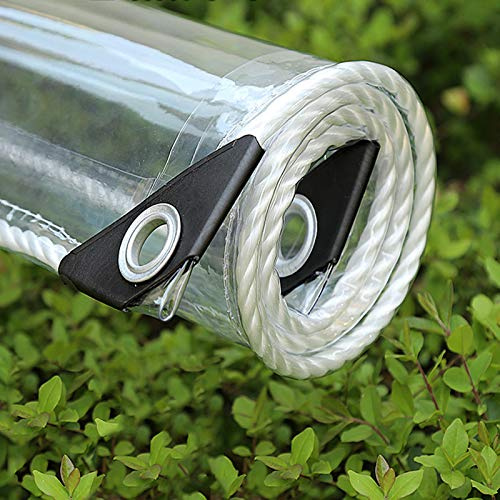 Vattentät transparent PVC-presenning med öglor, väderbeständig presenning, tåliga baldakin, vikbar, 0,35 mm, regnskydd, presenning för trädgårdsmöbler, växter, växthus, husdjur, hatttak (1 x 2 m/3,3 x