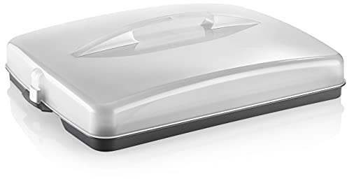 Grizzly Scatola per il Trasporto di Torte in Fogli Con Chiusura a Scatto, Rettangolare, Contenitore Con Coperchio e Maniglia