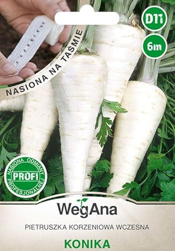WegAna Petersilienwurzel Konika Saatband 6m Wurzelpetersilie, Robuste Gemüsesamen Gemüse Samen Samen Anzucht Saatgut für Gewächshaus